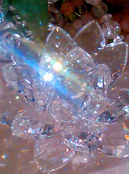 lotusraycrystal20121212sml.jpg