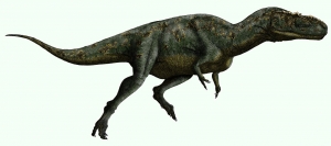 Gorgosaurus 2