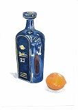 ネット水彩画テキスト２模写見本画・瓶とレモン