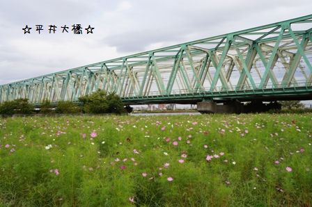 平井大橋
