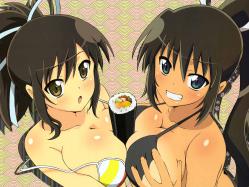 43yande.re 240468 asuka_(senran_kagura) bikini breast_hold cleavage homura_(senran_kagura) senran_kagura swimsuits symmetrical_docking tagme tan_lines