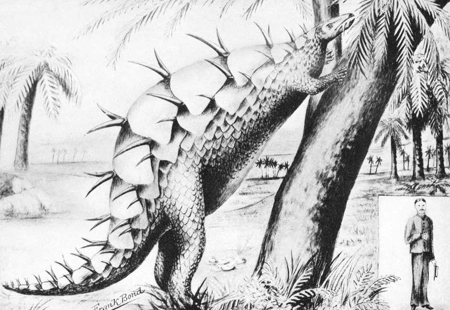 Stegosaur.jpg