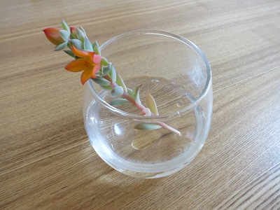 ファンクイーン花瓶