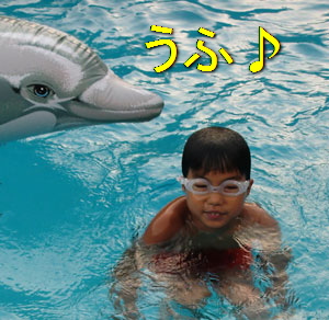 dolphin8.jpg