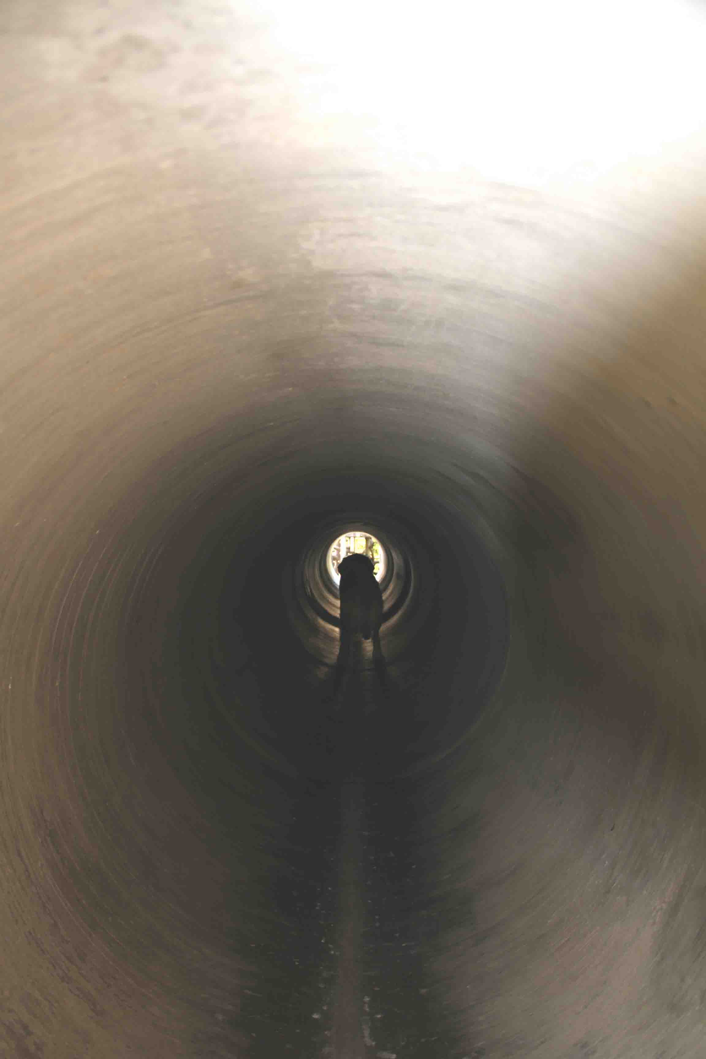 長～いトンネル(2)
