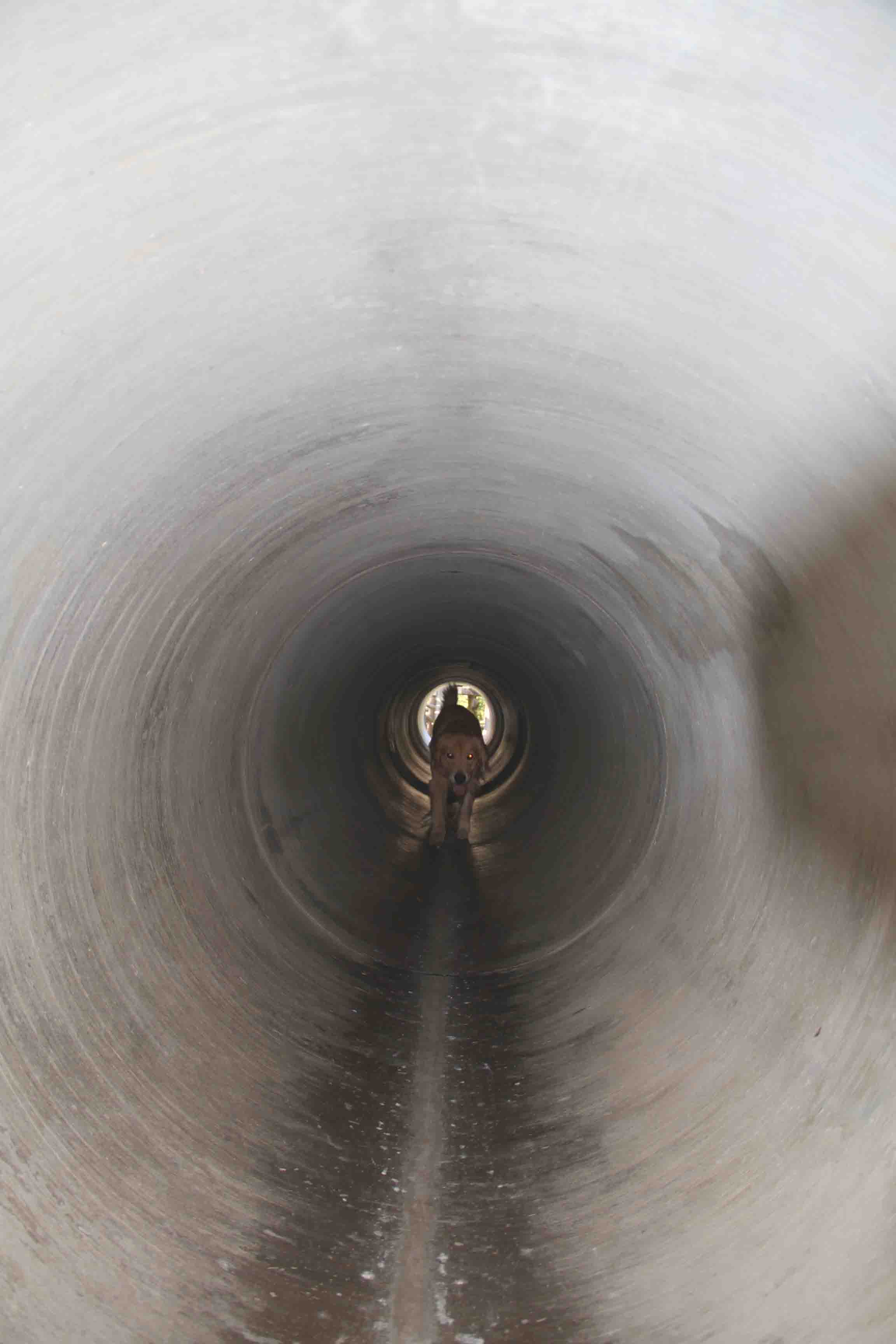 長～いトンネル(5)