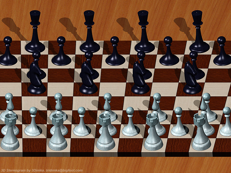Chess__Single_Image_Stereogram_by_3Dimka.jpg