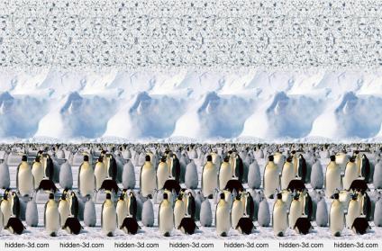 Emperor_Penguins__Stereogram_by_3Dimka.jpg
