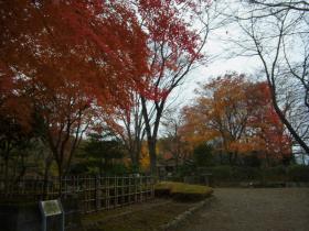 ３桜庭園 (2)